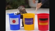 Mind-Blowing! Otter &lsquo;Taiyo&rsquo; Had Accurately Predicted Japan&rsquo;s Stunning Win Over Germany at FIFA World Cup 2022