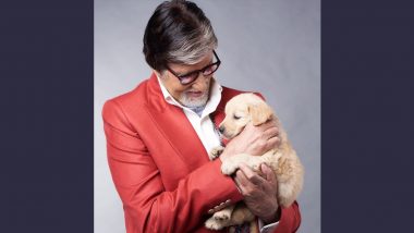 Amitabh Bachchan Shares Emotional Note on Instagram Mourning the Death of His Pet Dog