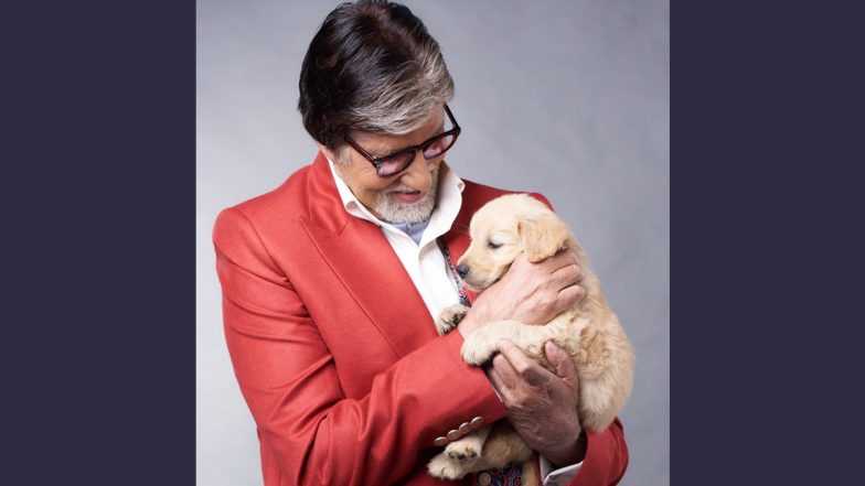 Amitabh Bachchan Shares Emotional Note on Instagram Mourning the Death of His Pet Dog