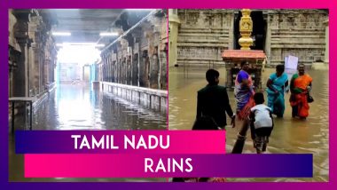 Tamil Nadu Rains: Chennai And Other Places Battered By Incessant Rains