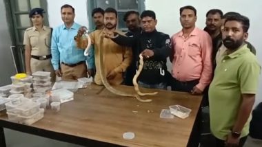 Video: Woman Carrying 28 Pythons, Snakes and Chameleons Worth 50 Crore on Train Arrested in Jharkhand's Tatanagar