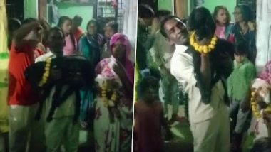 Uttar Pradesh: Childless Couple Celebrate Birthday of Their Goat Kids in Banda (Watch Video)