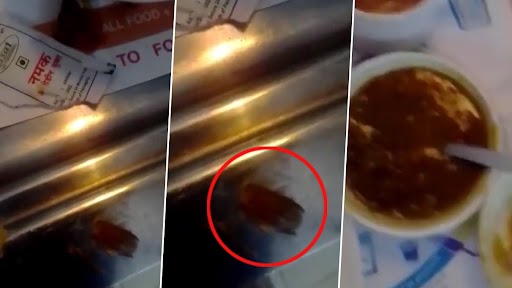 Cockroach Allegedly Found in ‘Daal’ Served to Four-Year-Old Patient at AIIMS in Delhi, Video Goes Viral