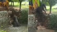 Elephant Falls Into a Well in Andhra Pradesh&rsquo;s Chittoor, Rescued (Watch Video)