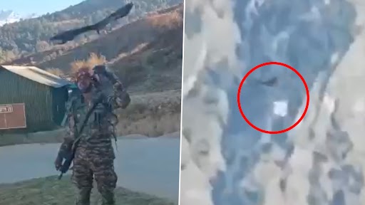 Indian Army Trains Kites To Destroy Small Drones of Enemy (Watch Video)