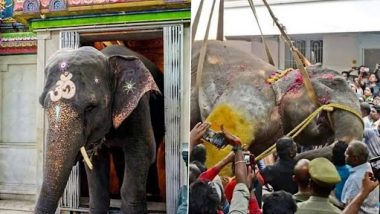 Puducherry: Female Elephant ‘Lakshmi’ of Sri Manakula Vinagayar Temple Collapses on Road, Dies (See Pics)