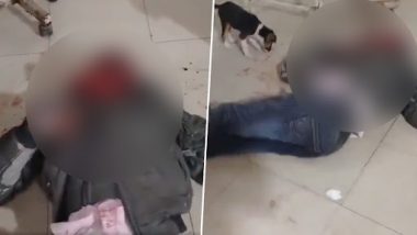 Uttar Pradesh Shocker: Stray Dog Licks Blood of Injured Man Lying on Hospital Floor in Kushinagar; 6 Sacked After Video Goes Viral