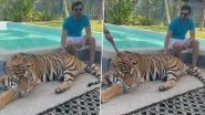 Santhanam&rsquo;s Video Petting a Sedated Tiger Enrages Netizens; Tell the Actor To Take Down the Tweet and Not Encourage Animal Cruelty &ndash; Watch