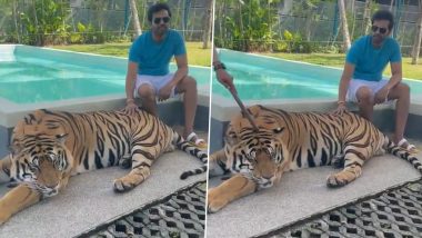 Santhanam’s Video Petting a Sedated Tiger Enrages Netizens; Tell the Actor To Take Down the Tweet and Not Encourage Animal Cruelty – Watch