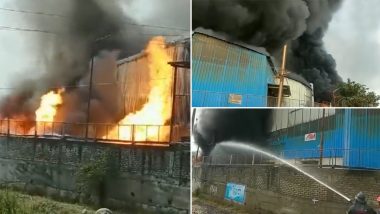 Pune Fire: Blaze Engulfs Air Filter Company Near Bhima Koregaon, Two Workers Injured (Watch Video)