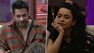 Bigg Boss 16: Shalin Bhanot Accidentally Enters the Bathroom While Soundarya Sharma Takes a Shower