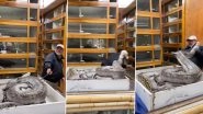 Reticulated Python Attacks Man, Lunges at Him As He Tries to Take The Female Snake's Eggs in Viral Video&nbsp;