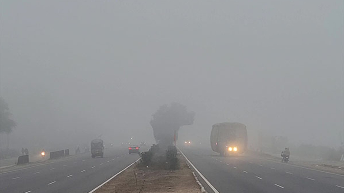 Agency News | Severe Cold Wave, Dense Fog Lead To Lower Visibility In ...