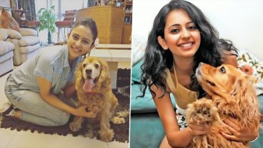 Rakul Preet Singh Pens Emotional Note Mourning the Demise of Her Dog Blossom (View Post)