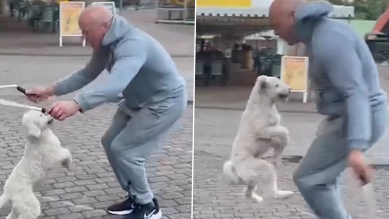 Dog Skipping With Man Viral Video! Check Most Skips By Dog on Hind Legs Guinness World Record Set by Balu