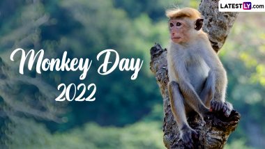 G20 summit's plan to scare off monkeys by mimicking their 'natural