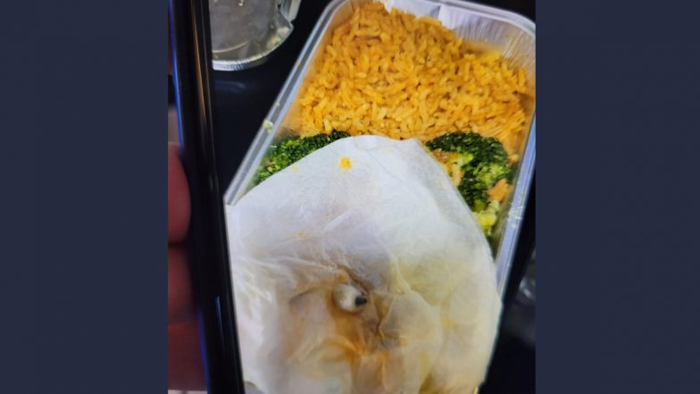 'Dental Implant' Wrapped in Tissue Found in British Airways Meal! Dubai Woman Calls The Bizarre Discovery 'Appalling'