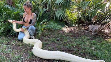 Huge White Snake Caught in Florida! See Pic of The Magnificient Albino Boa Constrictor That Weighs 50 Pounds