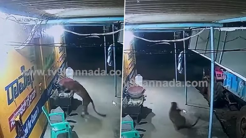 Leopard Attack in Karnataka: Big Cat Attacks Puppy in Brick Factory in Ramanagara, Takes it Away (Watch Video)