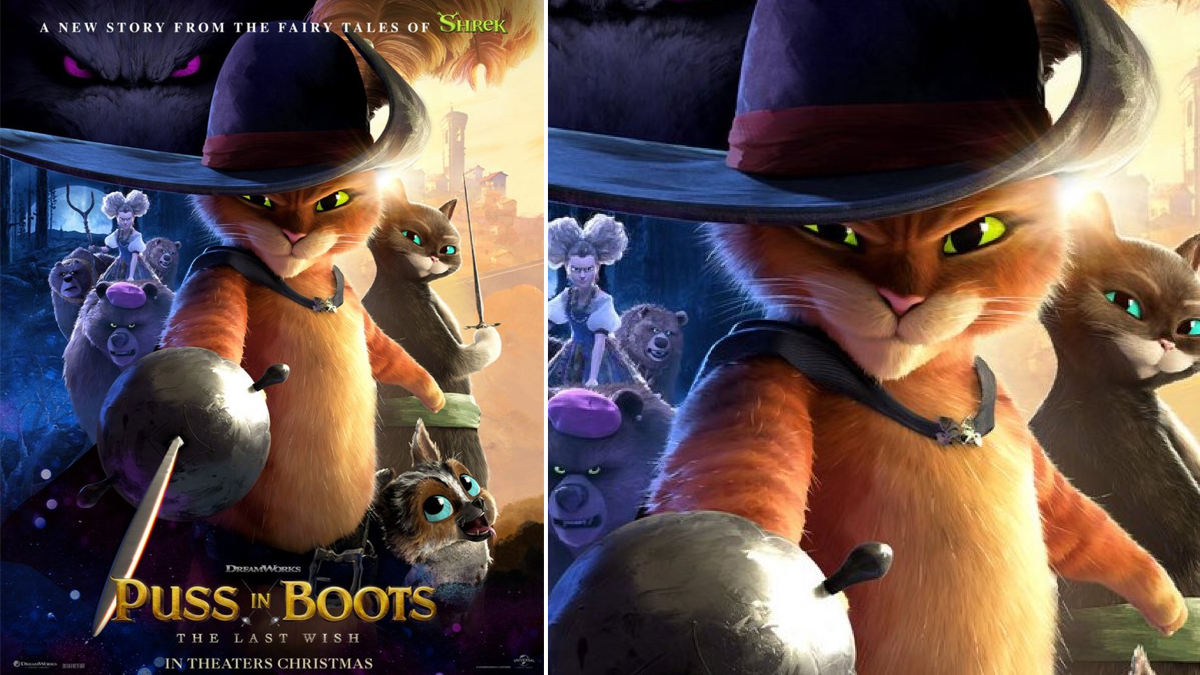 Puss in Boots Shrek Film Series Animated film DreamWorks Animation