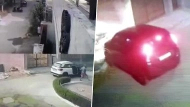 Punjab: Man Open Fires at Stray Dogs in Ludhiana, Case registered After Video Goes Viral