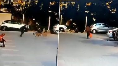 Video: Pack of Stray Dogs Attacks Pedestrian in Palm Olympia in Greater Noida, Incident Caught on CCTV