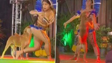 Dog Comes in Between Dance Performance on Stage, Interrupts The Contestant; Netizens Praise Dancer's Composure in Viral Video