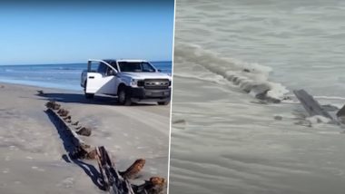 Mysterious 80 Feet Big Object Composed of Wood and Metal Discovered By Beachgoers in Florida, Gets Local Residents Buzzing With Confusion (Watch Video)