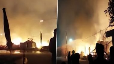 Kolkata Fire Video: 12 Shops Gutted in Blaze As LPG Cylinder Explodes in Newtown Area; No Casualty