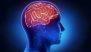 Scientist Suffers Brain Damage After Testing ‘Havana Syndrome’ Device on Himself