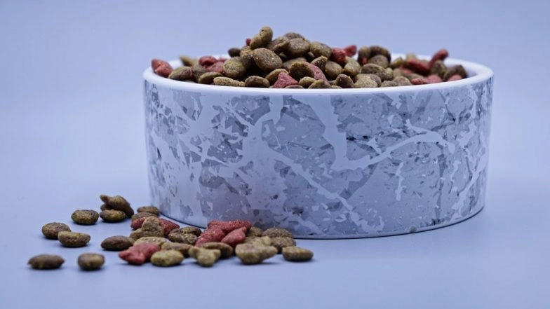 UK: Rising Cost of Living Forces British Families To 'Eat Pet Food, Heat Meals on Radiator'; Real Food Become Unaffordable For Many