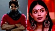 Bigg Boss 16: Sreejita De and Vikkas Manaktala Enter Salman Khan&rsquo;s Show as the New Wildcard Contestants