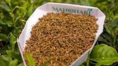 Assam’s Special ‘Manohari Gold Tea’ Sold at Rs 1.15 Lakh per Kg in Dibrugarh; Highest Ever Bid for Tea