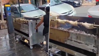 Woman Grills Rodents Openly on Public Sidewalk in New York City; Viral Video Draws Mixed Reactions