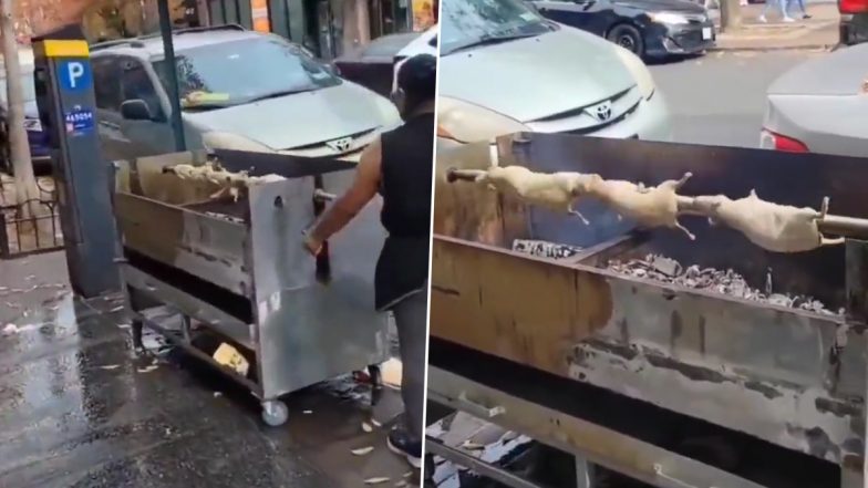 Woman Grills Rodents Openly on Public Sidewalk in New York City; Viral Video Draws Mixed Reactions