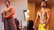 Tiger Shroff Flaunts His Chiseled Body in Recent Instagram Video - WATCH