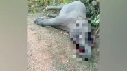 India News | Elephant Dies of Electrocution in Chhattisgarh