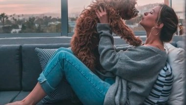 Business News | HappyLocate Recently Ventured into Pet Relocation Services; Ensuring 100 Per Cent Safe and Secure Pet Travel