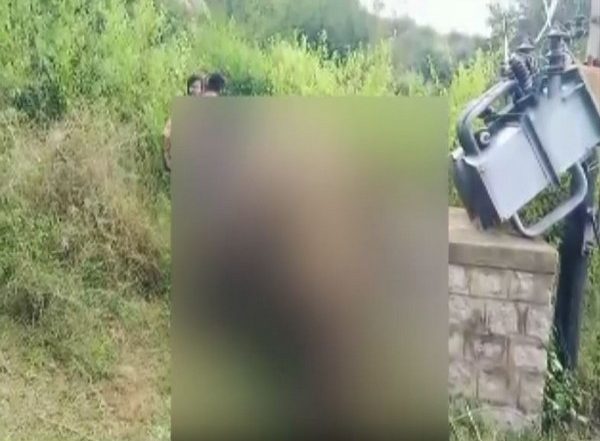 India News | Andhra Pradesh: Elephant Dies of Electrocution in Chittoor