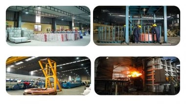 Business News | Rajnandini Metals Ltd Plans Major Expansion