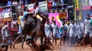 India News | 'Jallikattu' Has Cultural Value, No Cruelty on Bulls: Tamil Nadu Tells SC