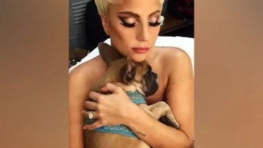 Entertainment News | Guy Who Shot Lady Gaga's Dog-walker Gets 21-year Imprisonment