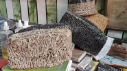 Lifestyle News | Karakul: A Unique Symbol of Kashmiri Culture and Tradition