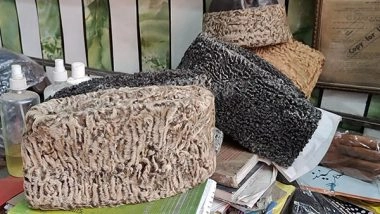 Lifestyle News | Karakul: A Unique Symbol of Kashmiri Culture and Tradition