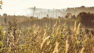 Science News | Research Finds How Intensive Agriculture Turned Wild Plant into Pervasive Weed