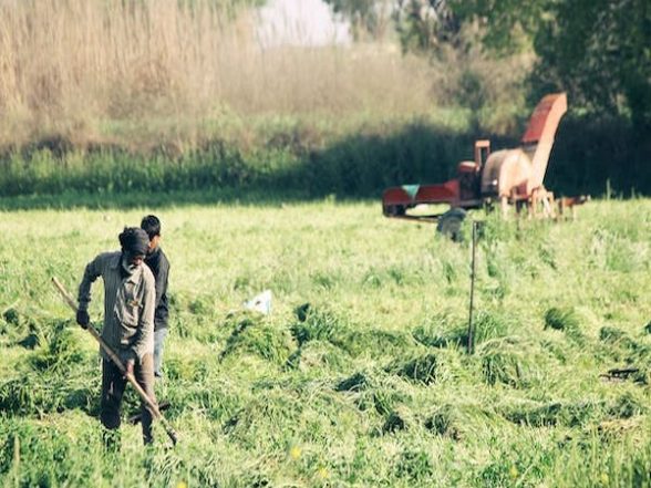 Health News | Researchers Say Mental Health Care for Farmers Requires Major Overhaul | LatestLY