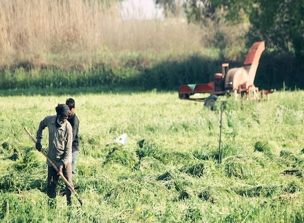 Health News | Researchers Say Mental Health Care for Farmers Requires Major Overhaul