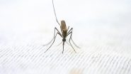 Health News | Life-saving Light Beam Can Now Detect Malaria