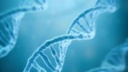Science News | Research Finds Aging is Driven by Unbalanced Genes