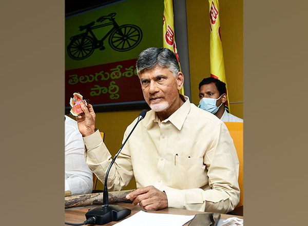 India News | No Safety for Lives of Women in Andhra Pradesh, Says Chandrababu Naidu